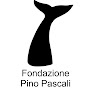 Fondazione Museo Pino Pascali