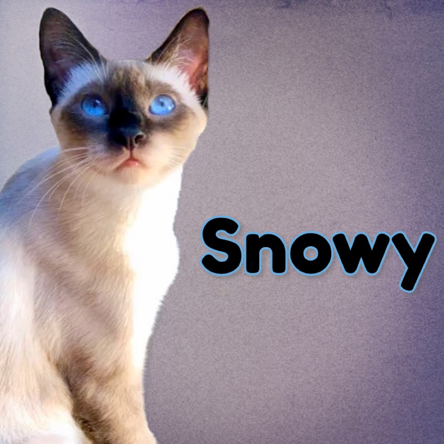 SNOWY THE MAGNIFICAT