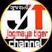 jogmaya tiger