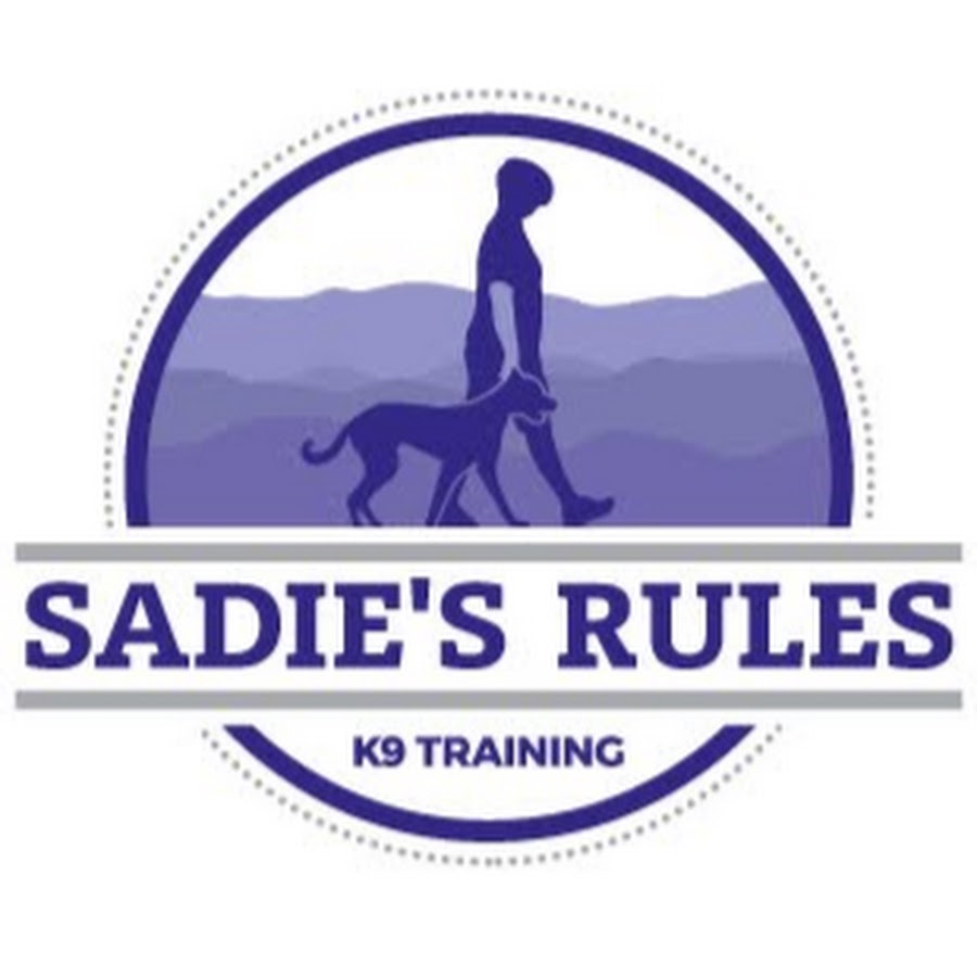 How to Crate Train Your Dog (and Why You Should!) — Sadie's Rules K9  Training