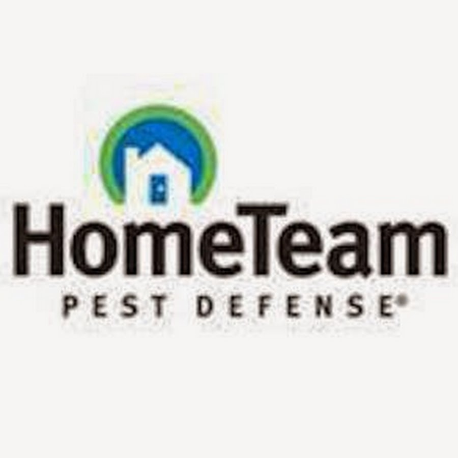 Scorpions - HomeTeam Pest Defense