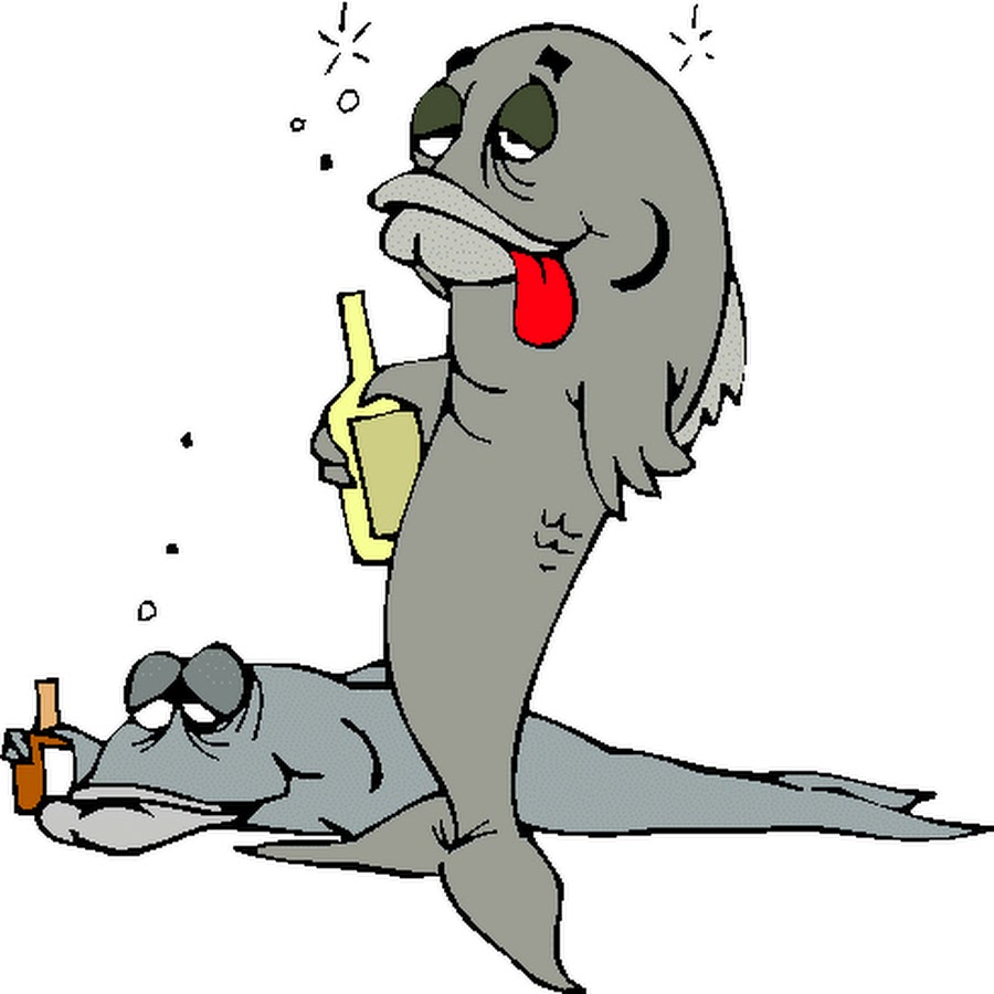 Drunk fish. Пьяная рыба. Смешной лосось. Рыба алкоголик. Рыбка алкаш.