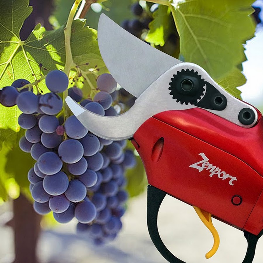 Zenport 6-in-1 Multi Sharpener (Pruners, Scissors, Knives)