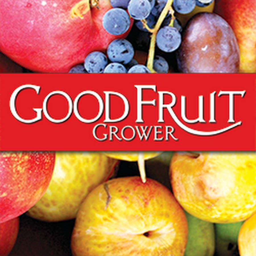 How to grow Cosmic Crisp - Good Fruit Grower