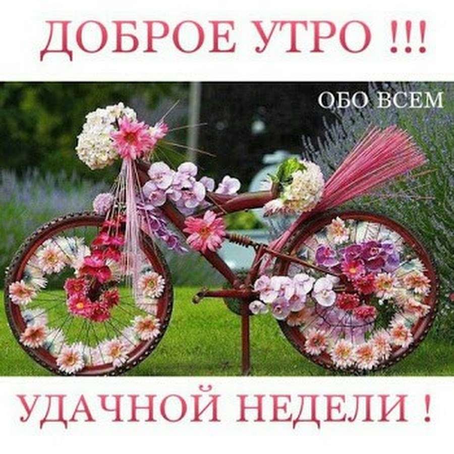 Доброе утро понедельника весна