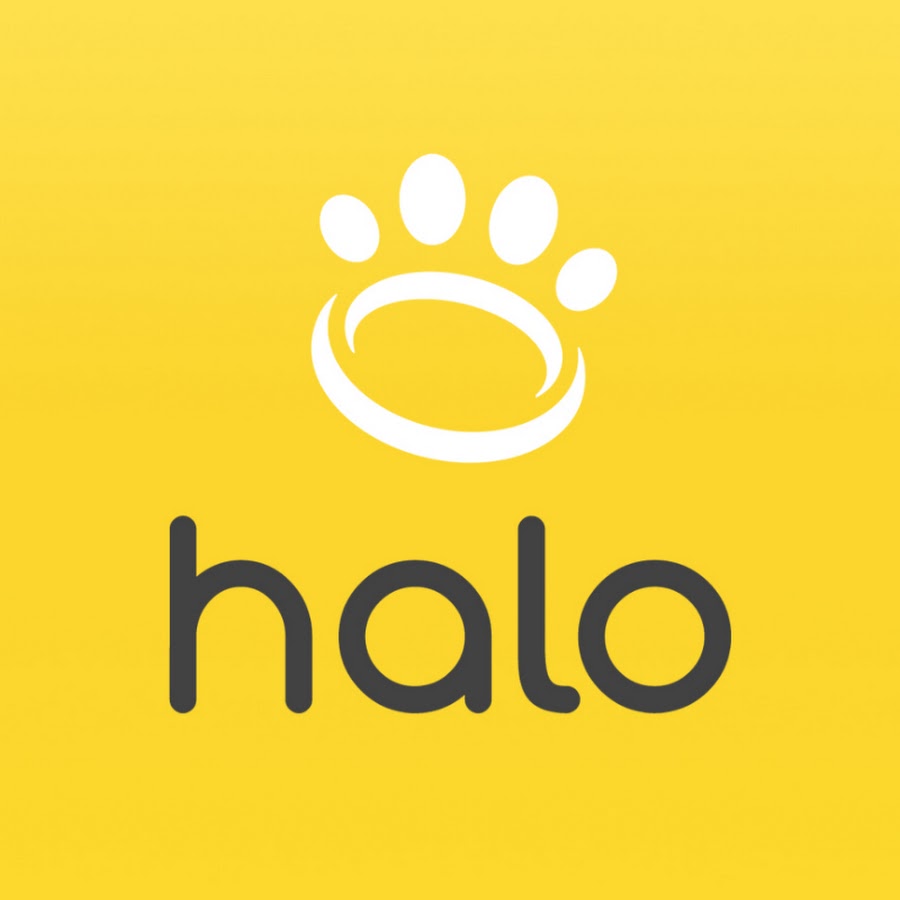 Dog halo outlet collar