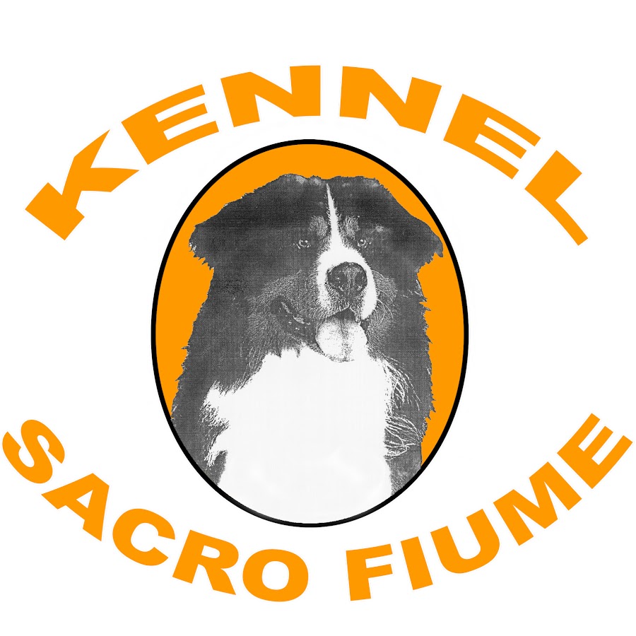 Fiume kennels outlet