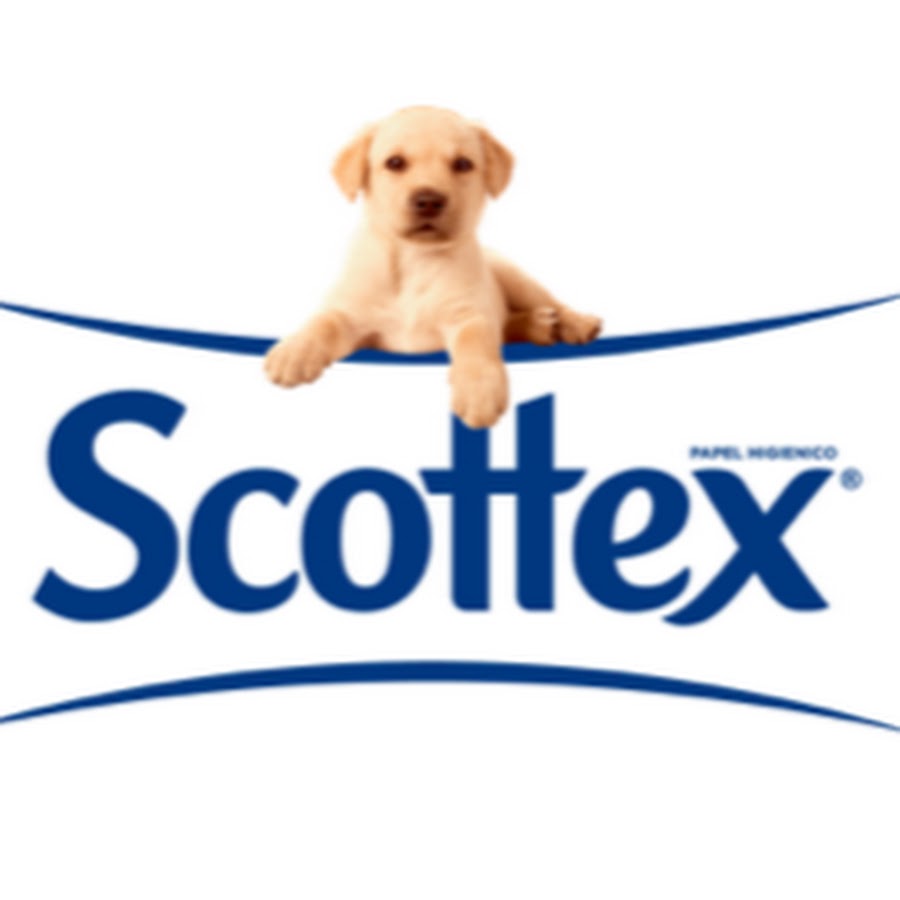 Scottex España