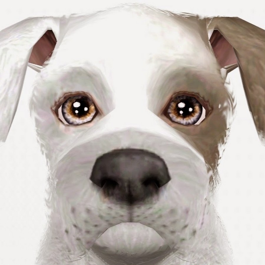 Собака подписывается. Подпишись собака. Pets Eye view. Pets animation. 3d Pet.