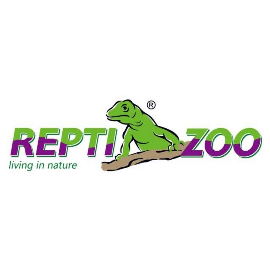 REPTI ZOO Reptile Terrarium Thermometer Hygrometer and Mini Reptile Glass  Terrarium 8 x 8 x 8