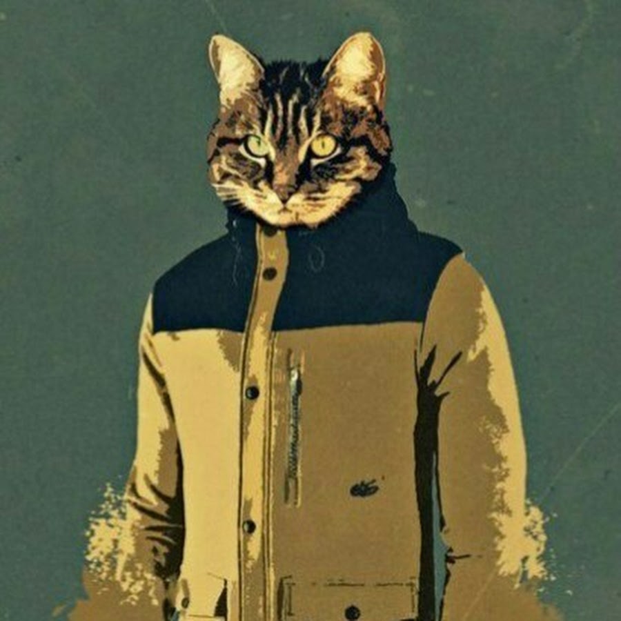 Кот найк. Кот в толстовке с капюшоном. Кот в куртке. Коты в капюшоне. Кот в Nike.