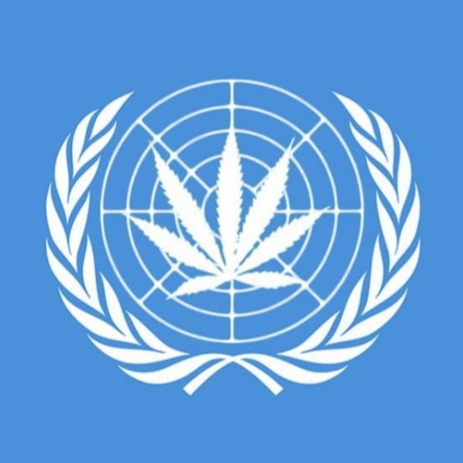 Ркик оон. Единая конвенция ООН «О наркотических средствах». ООН. ООН наркотики. Организация Объединённых наций.