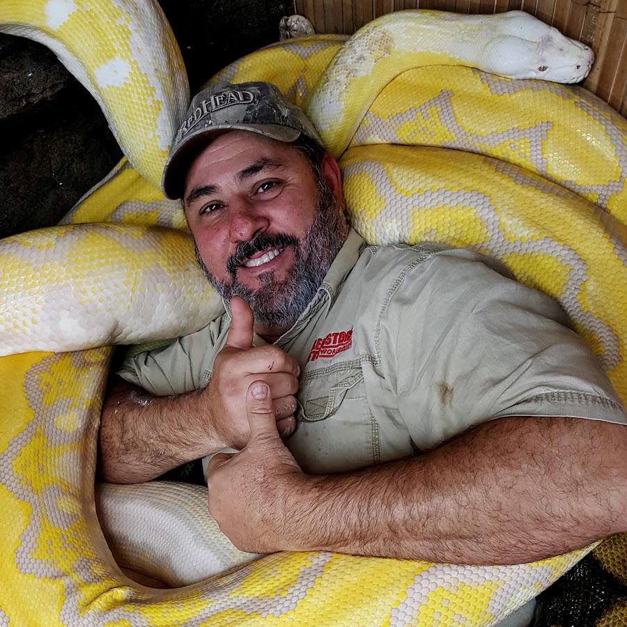 Jay snakes