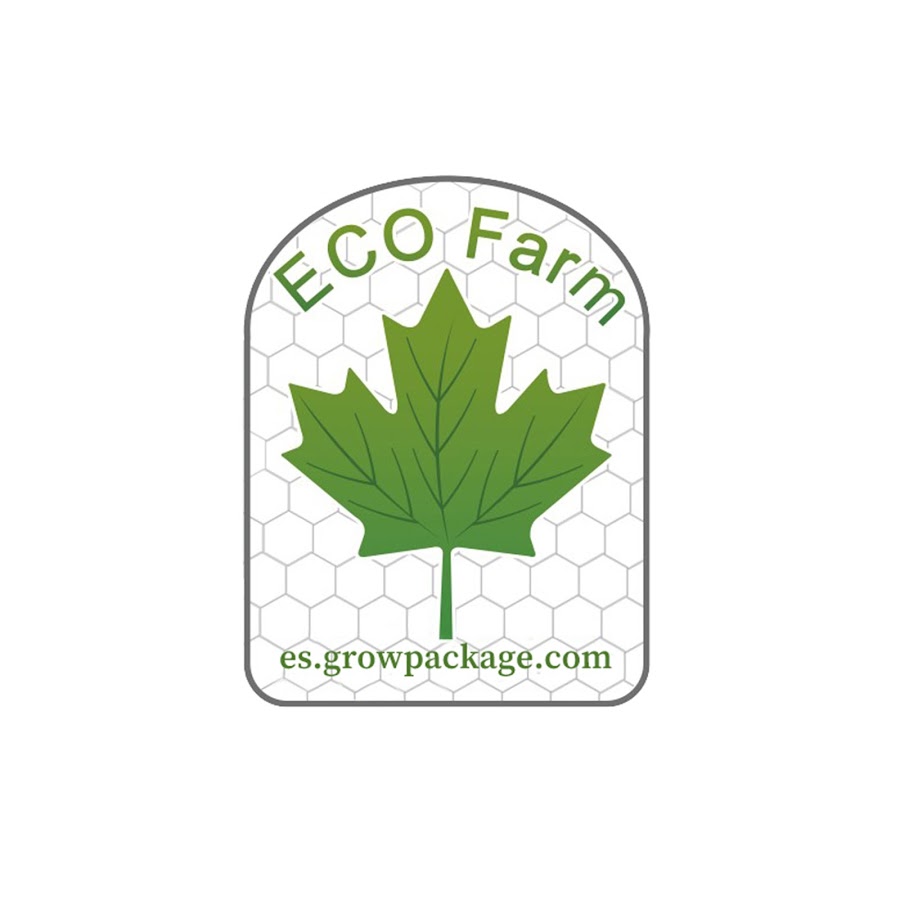 ECO Farm Mini Máquina de Prensa Rosin 300KG de Potencia con