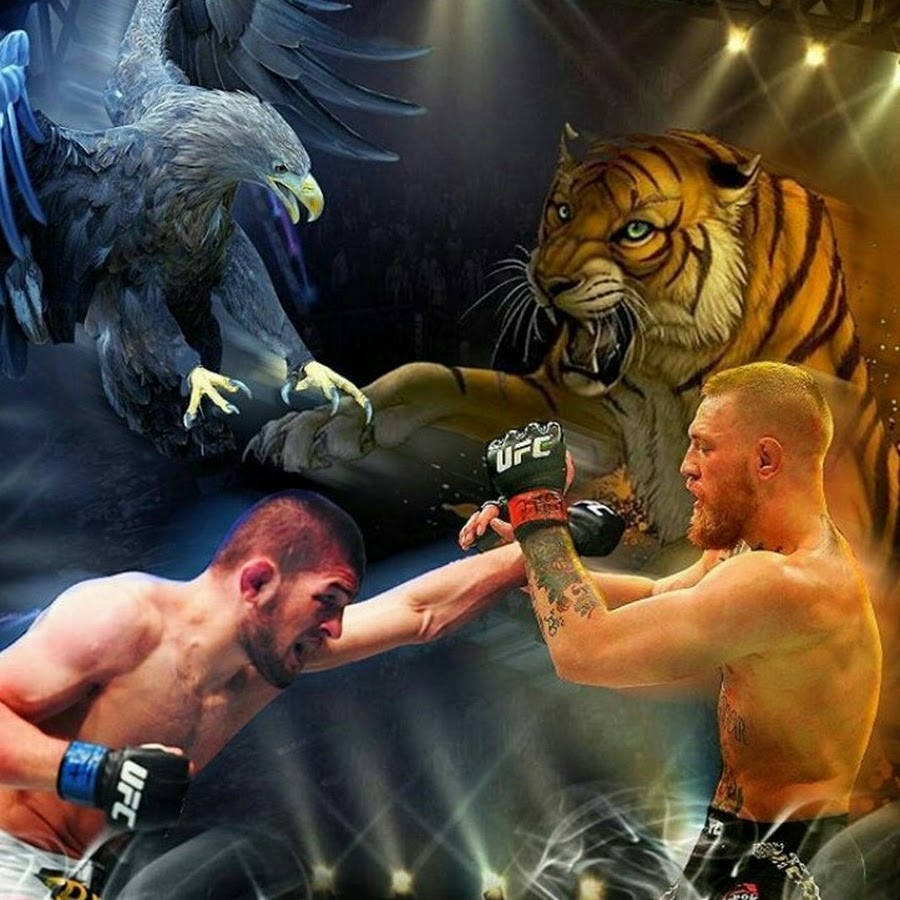 Кто сильнее кто же выиграл. Звери бойцы. Тигр и Орел. Тигр боец.