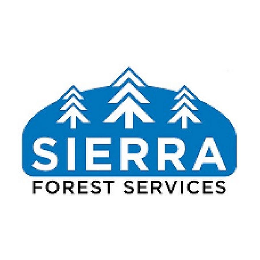 Forest service. Sierra Forest. Sierra Forest Интел.