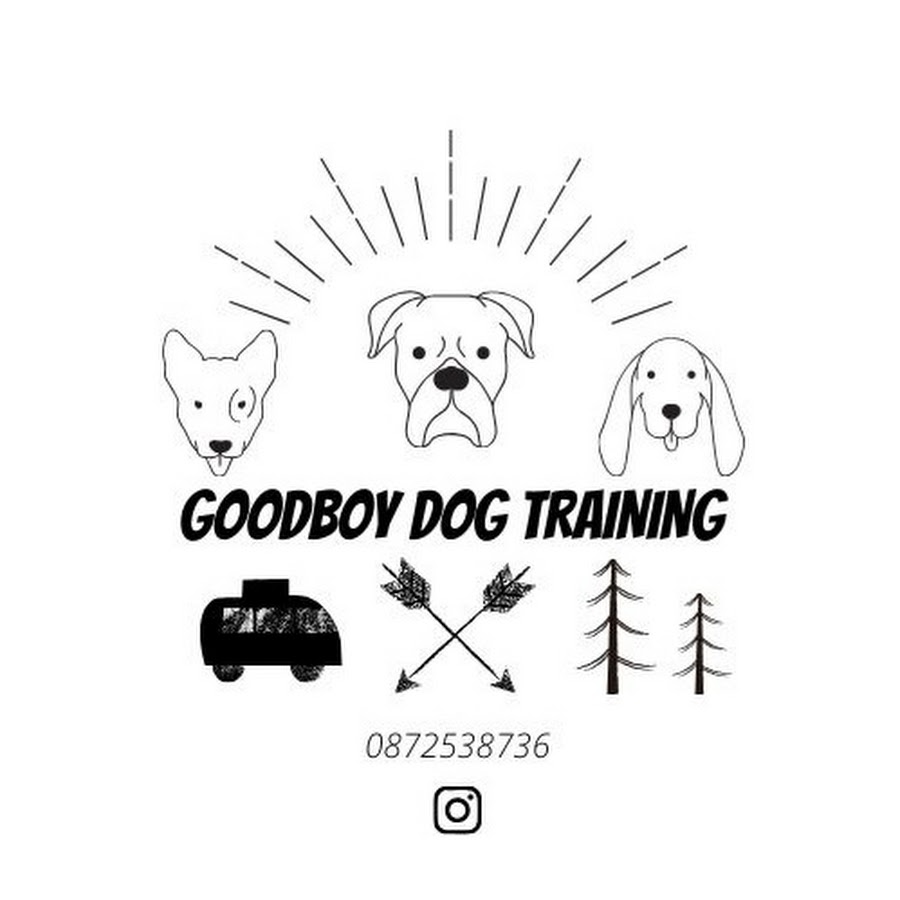 Good boy hot sale dog training