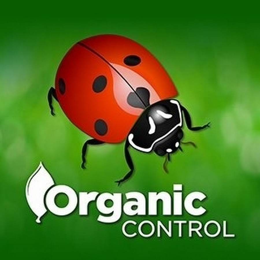 Green Lacewings - Organic Control, Inc.