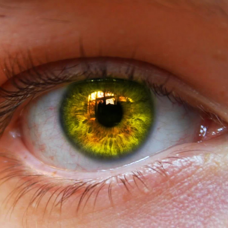 Желтый глаз 12. Желто зеленые глаза. Зелено янтарные глаза. Жёлто-зелёный цвет глаз. Желтый цвет глаз.