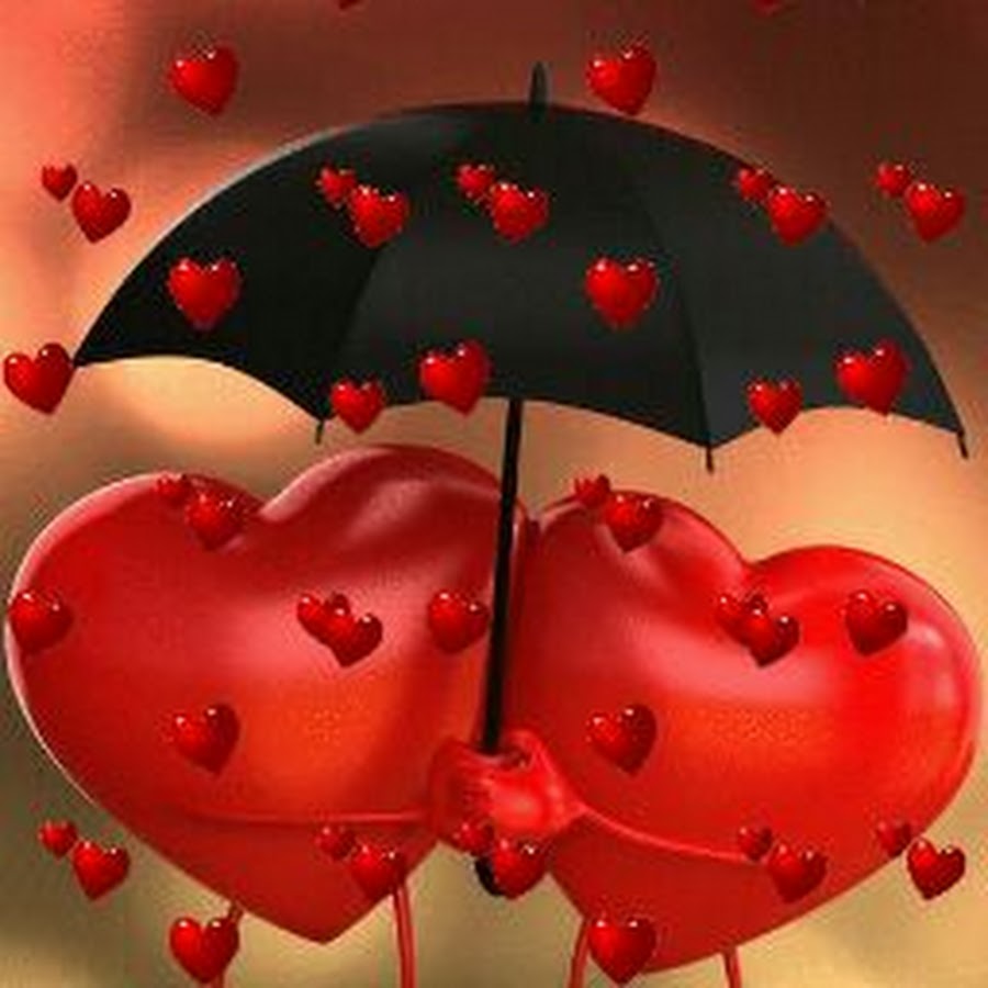 Сердце любви живые. Живые сердечки. Любовные сердечки живые. Сердечко под зонтом. Красивые сердечки для любимого.