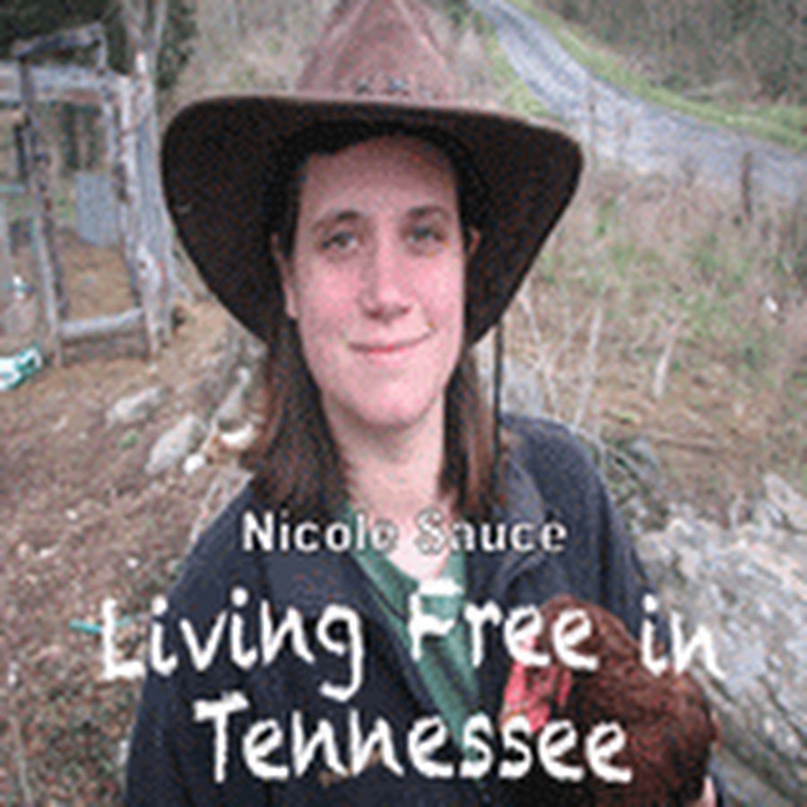 Terro Ant Baits - Living Free in Tennessee - Podcast
