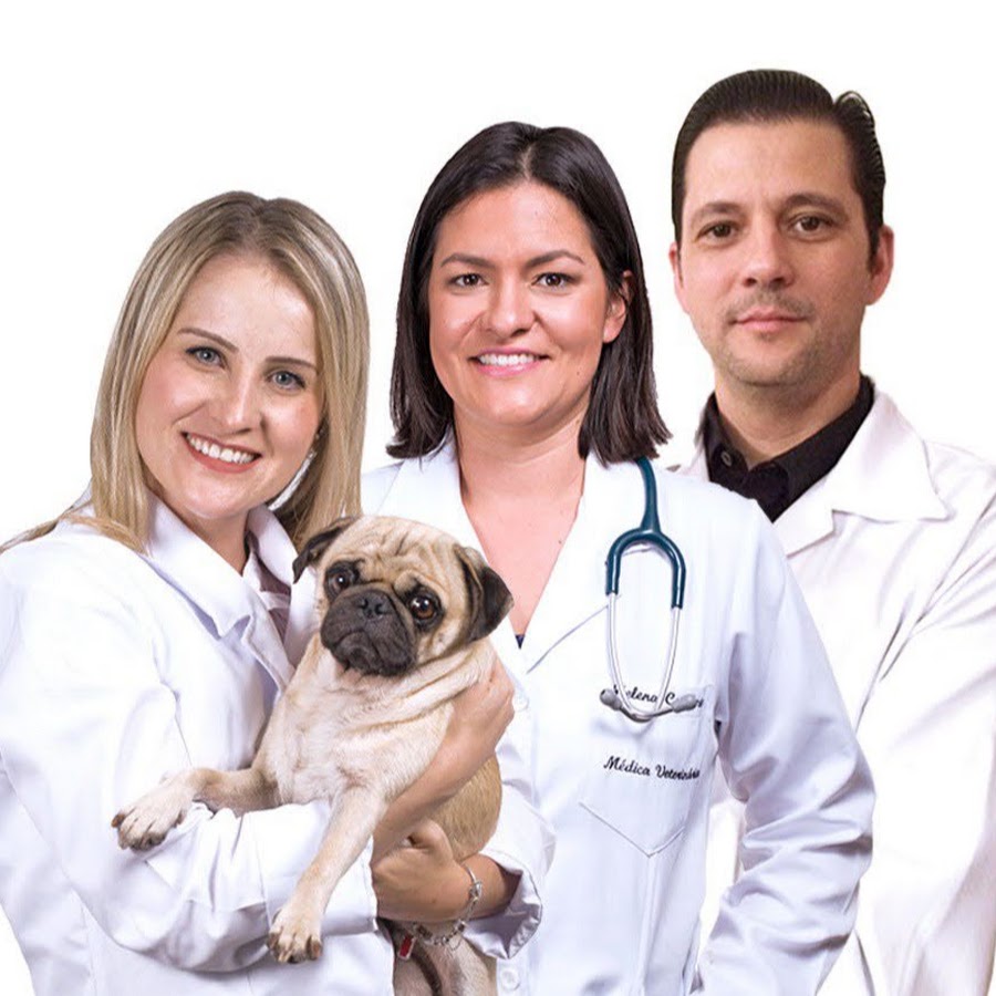 Curso Online: O jogo do diagnóstico veterinário * Raciocínio Clínico Vet 