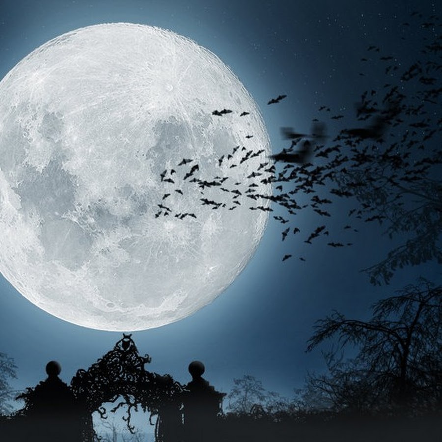 Lune d. Лунный свет Дебюсси.