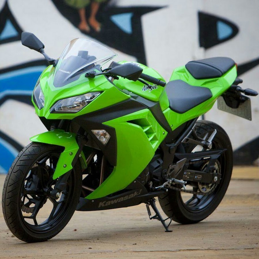 Kawasaki Ninja 300 Stunt