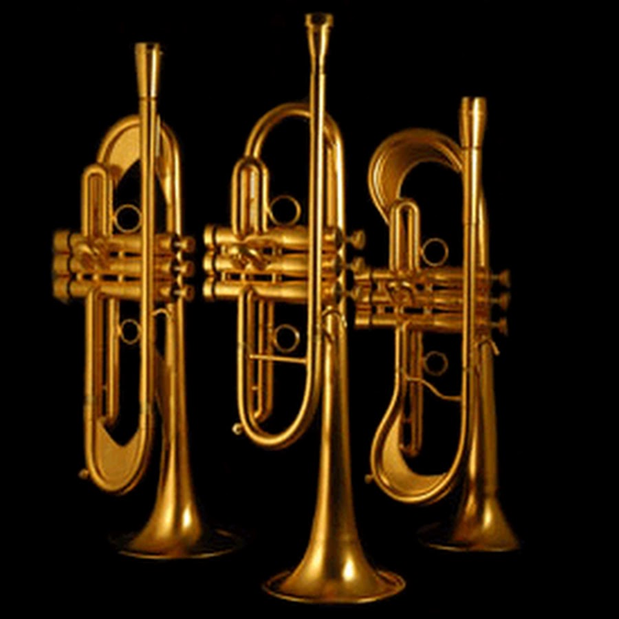 Кларнет тромбон. Труба саксофон тромбон. Brass instruments. Trumpet Trombone Clarinet. Monette.