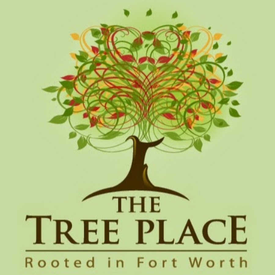 Apple Trees - Fort Worth, Texas - The Tree Place – The Tree Place TX