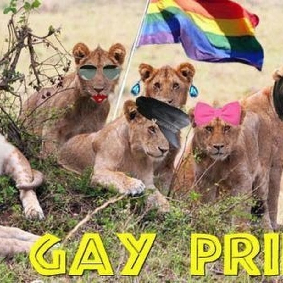 Мем Прайд. Месяц прайда. Pride мемы.