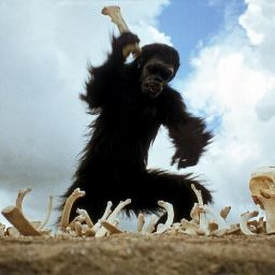 Обезьяны племя. Кубрик монолит обезьяны. 2001 Одиссея плита и обезьяны.