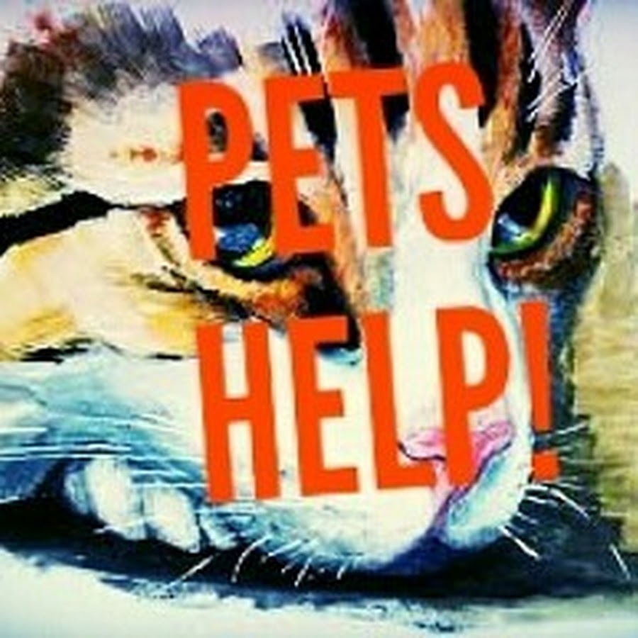 Pet help