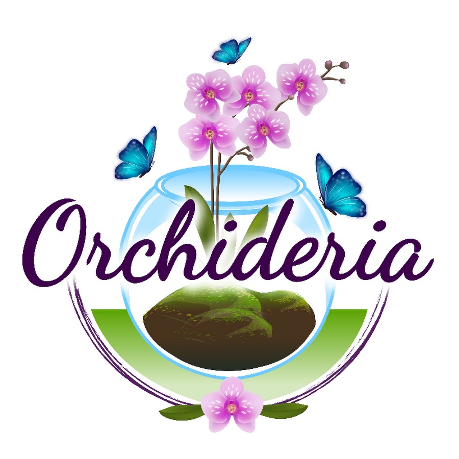 Orchids & Sphagnum Moss: How Much do You Know? 