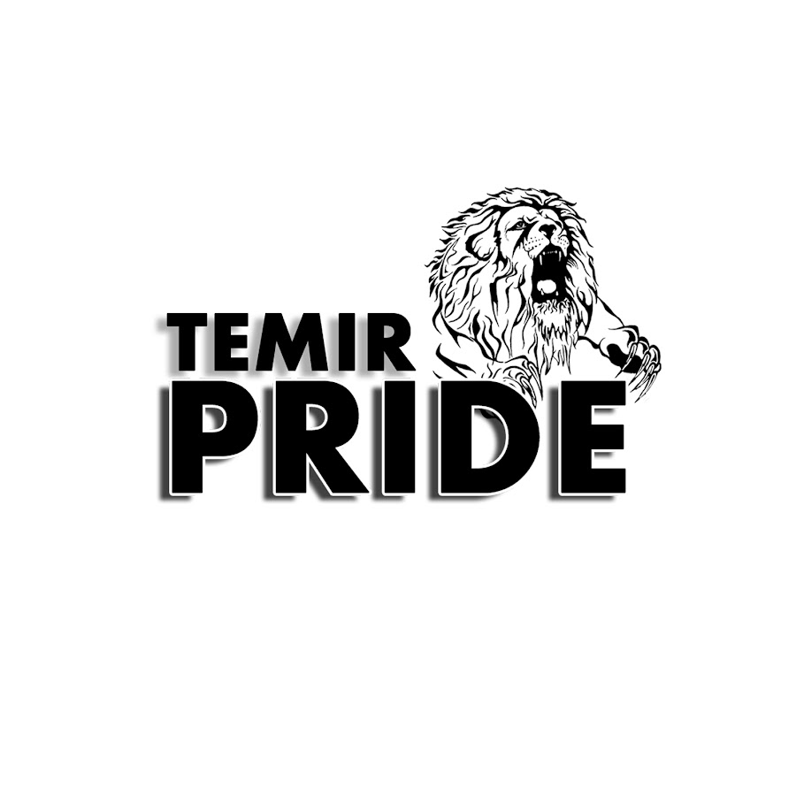 Бойцовский клуб TemirPRIDE - Темиртау. - YouTube