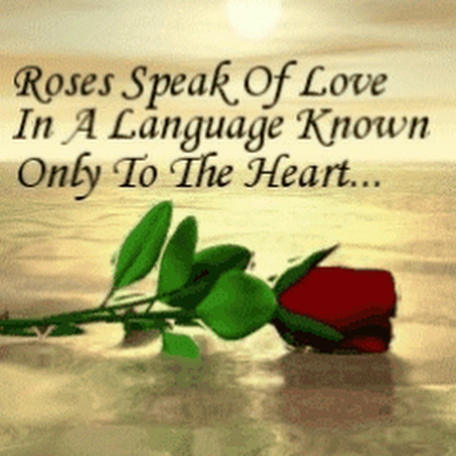 Speaking roses