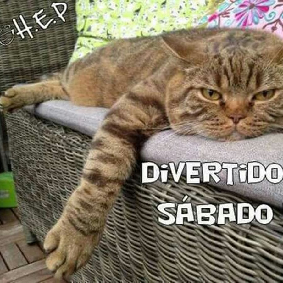 целый день у нас работа. то тюлень позвонит то. тот кто много работает тому некогда зарабатывать деньги. целый день работаю. и такая дребедень целый день.