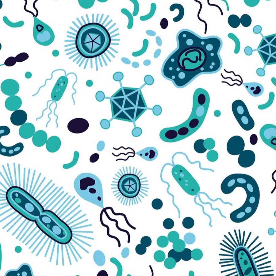 бактерии на белом фоне. бактерии обои. синие бактерии. микроорганизмы фон. кишечная палочка сальмонелла.