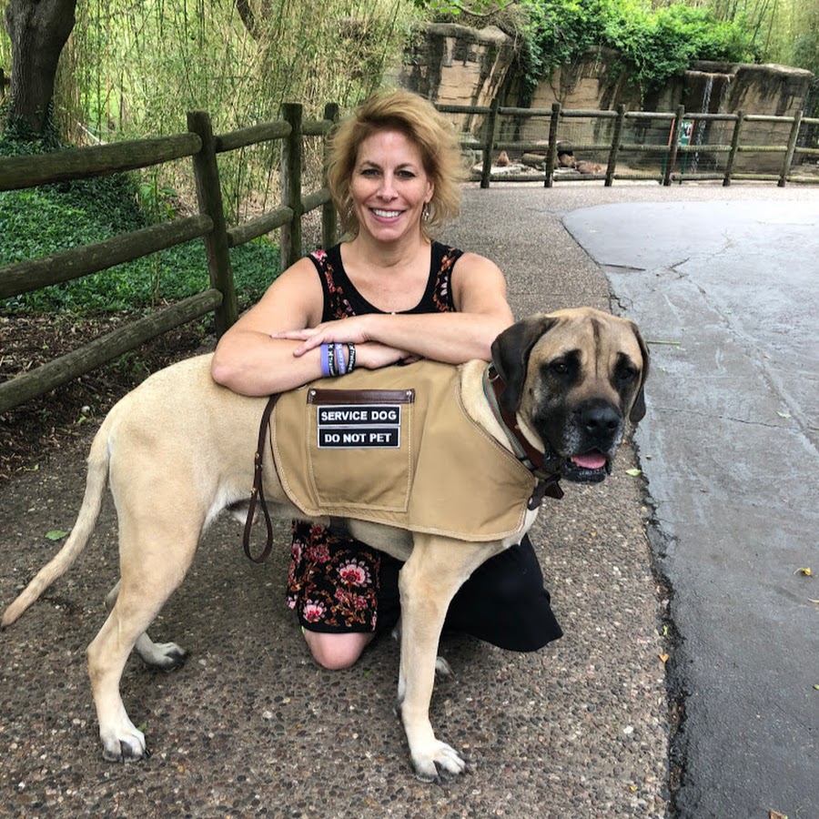 Trained and sale maintained service dogs