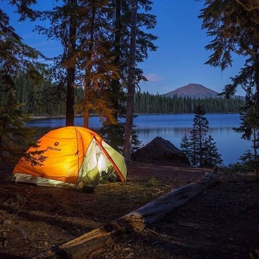 Camping light. Кемпинг. Качественные палатки туристические. Жить в палатке в лесу. Кемпинг Франции Эстетика.