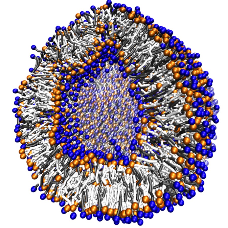 Molecular Dynamics Simulation