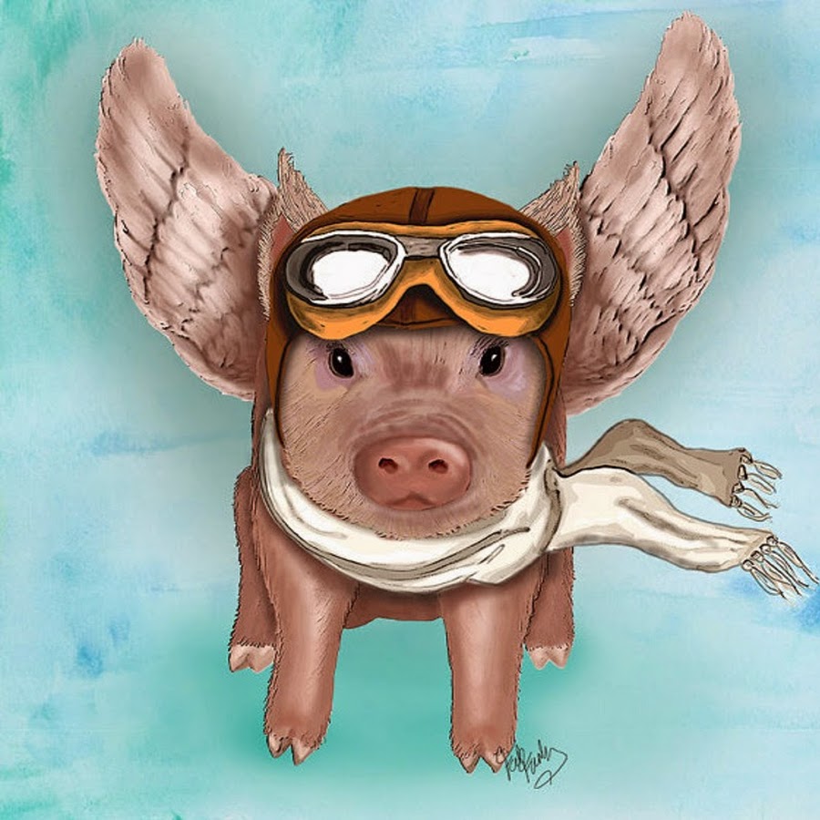 Летающая свинка. Свинья с крылышками. Свинья с крыльями. Летающая свинья. Свинка с крылькрыльями.