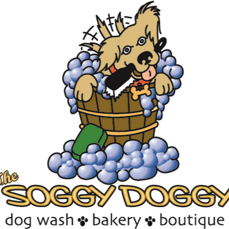 Shop Now  The Soggy Doggy