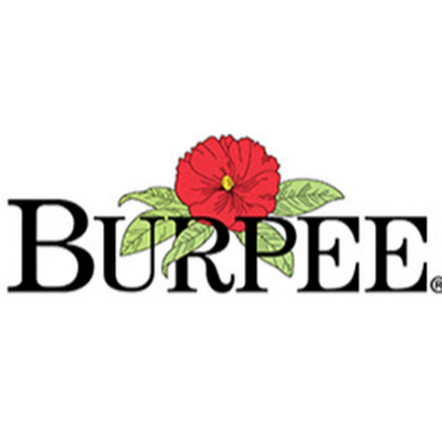 Burpee plants deals