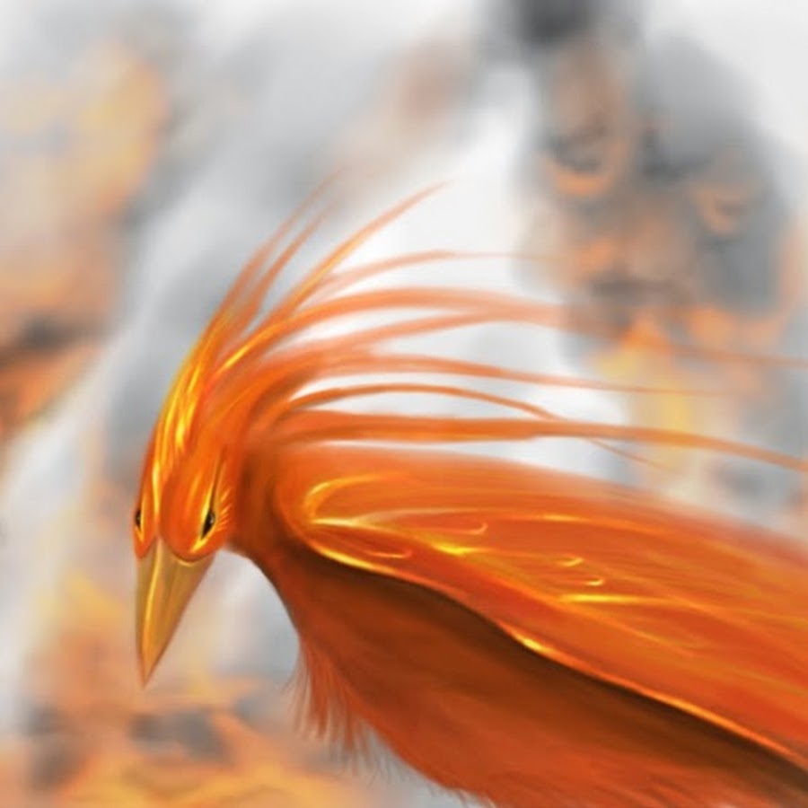 Phoenix edition. Феник.