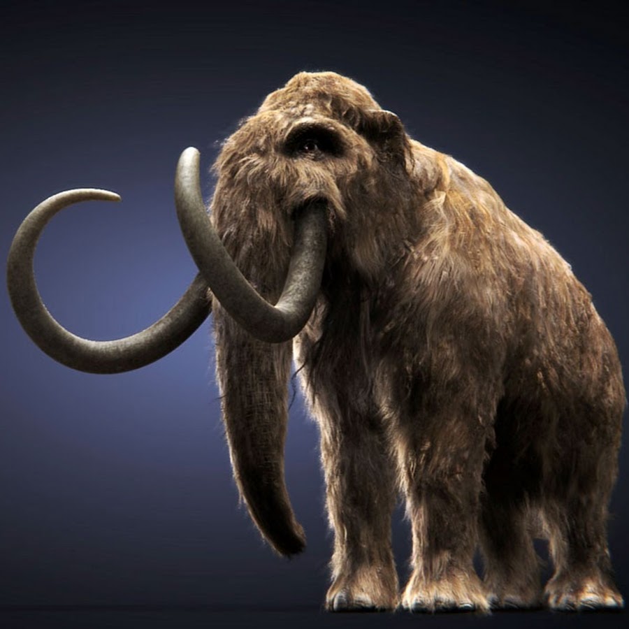 Мини мамонт ютуб. Mammuthus Woolly Mammoth. Животные ледникового периода. Вымершие животные ледникового периода. Мамонт арт.