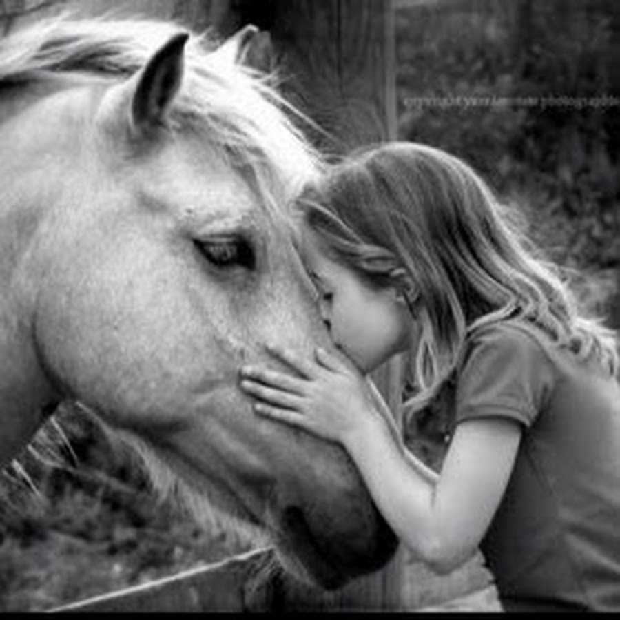 Девушка обнимает лошадь. Девушка с лошадкой. Лошади обнимаются. Обнимашки с лошадью. Доверие лошади