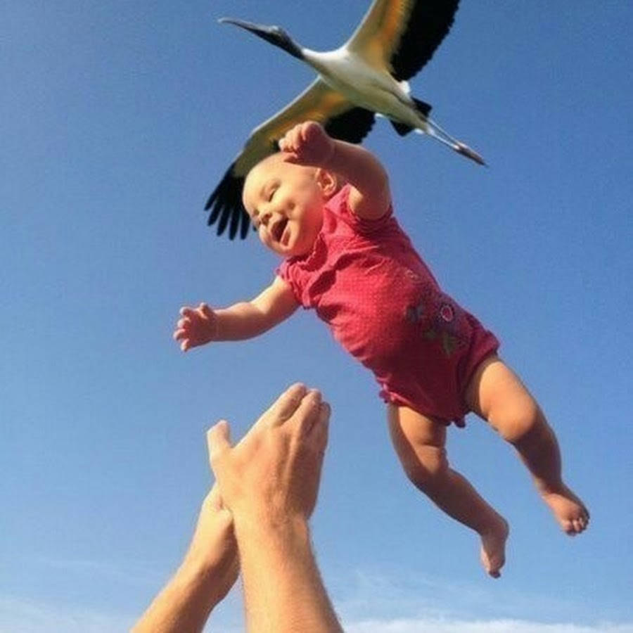 Аист с ребенком. Аист несет малыша. Фотография аиста с ребенком. Малыш летит.