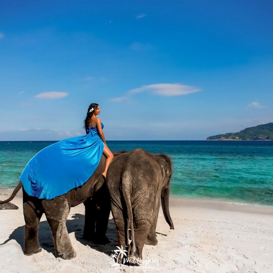 Шри ланка девушки. Шри Ланка слоны. Тайланд слоны. Девушка на слоне.