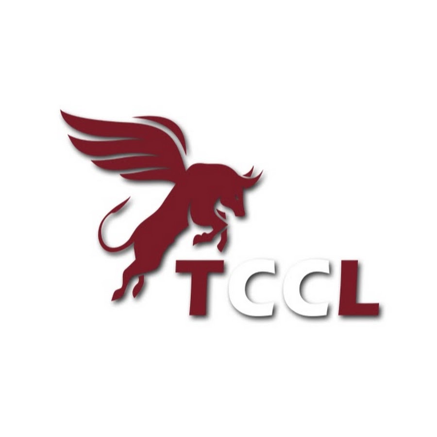 Компания Tonghu Consulting co., Ltd.. Lion trade Consulting.